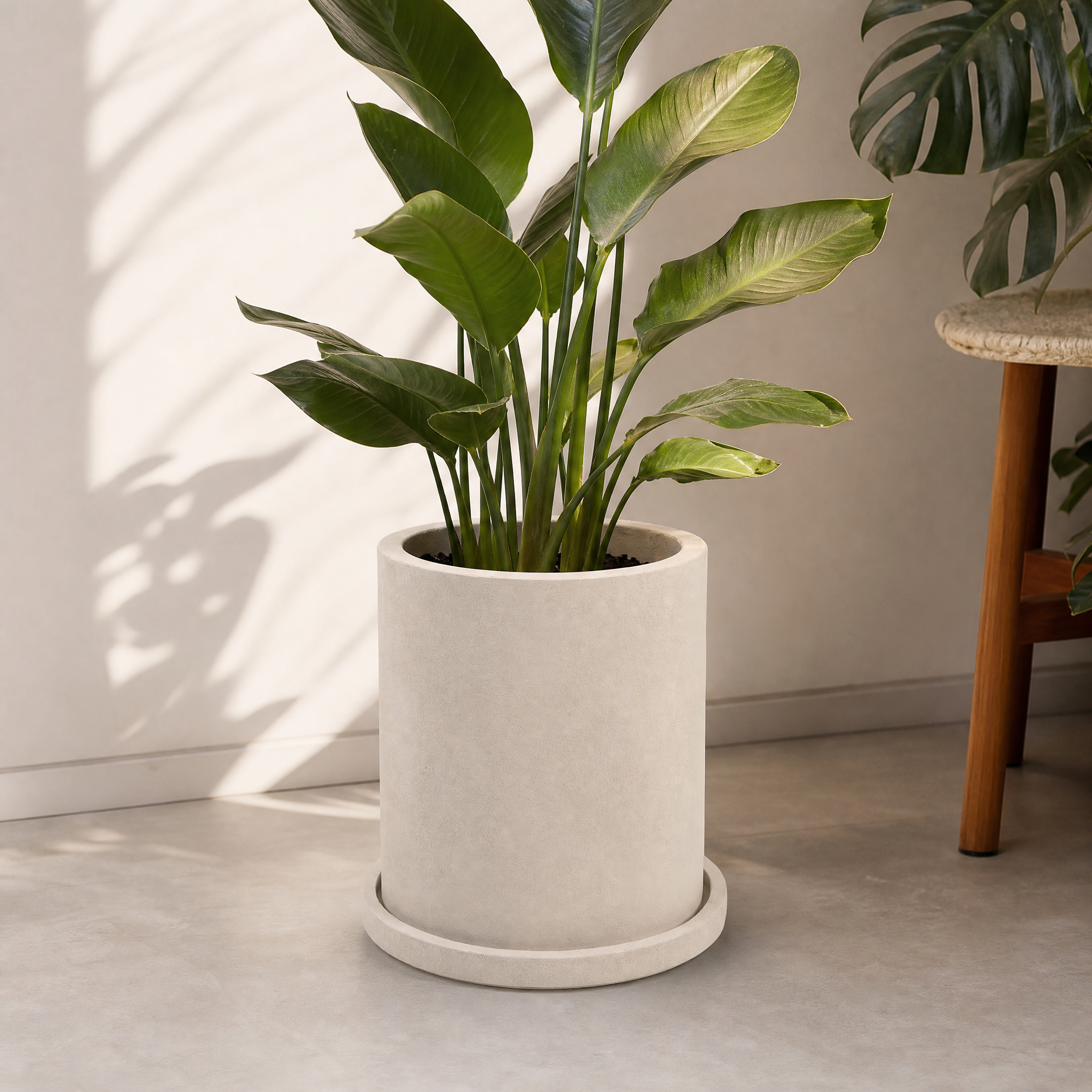 Mona Planter Cream Microcement