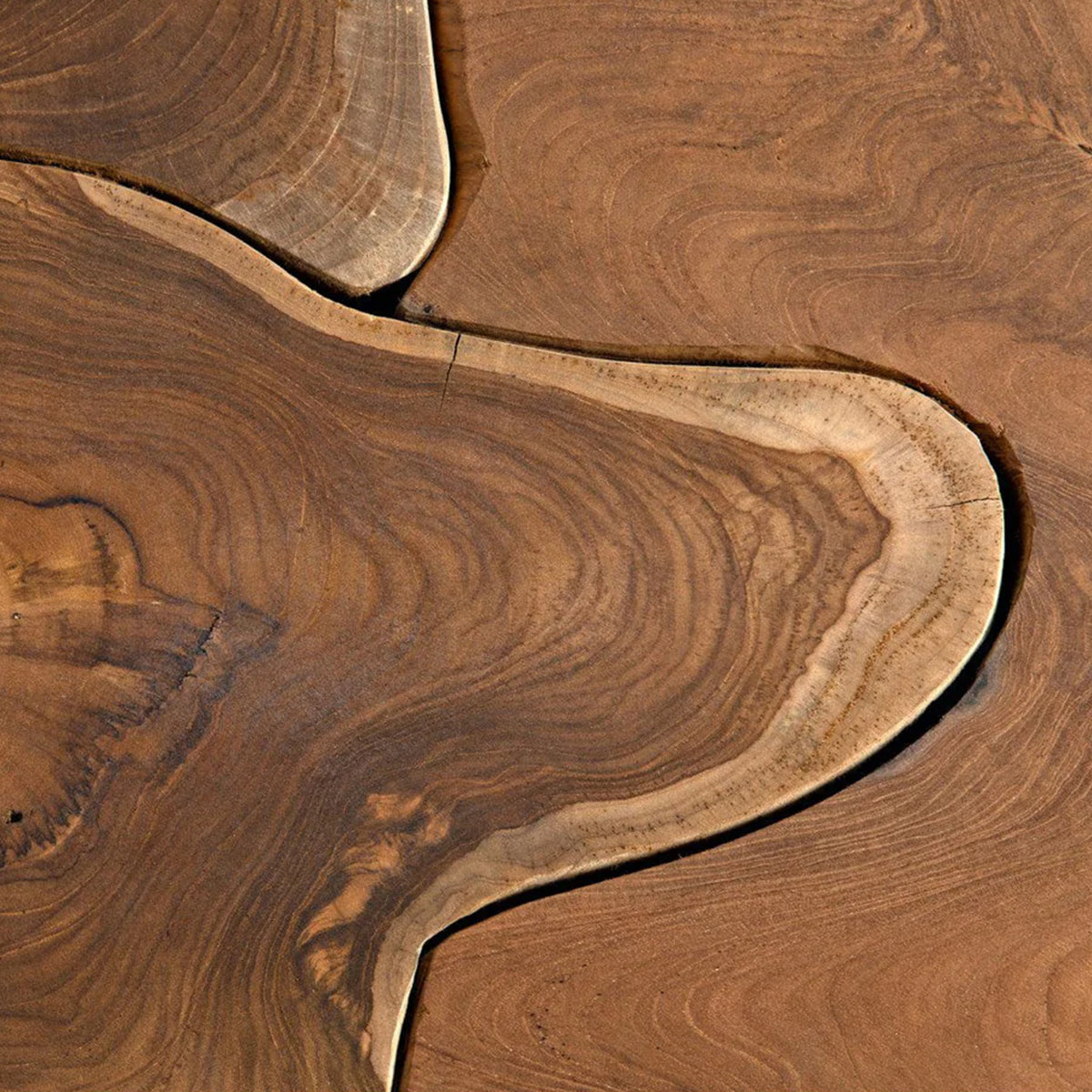 Samia Coffee Table